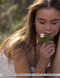 Sweet, pubescent and carefree, Lachia's naturally nubile beauty takes the centerstage as A she strikes a variety of explicitly erotic poses on this outdoor shoot.