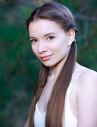 In an obstacle Saddle